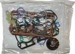 420894376 Полный Комплект Прокладок И Сальников Для Ski Doo Rotax 850 E-TEC 420894263, 420894373